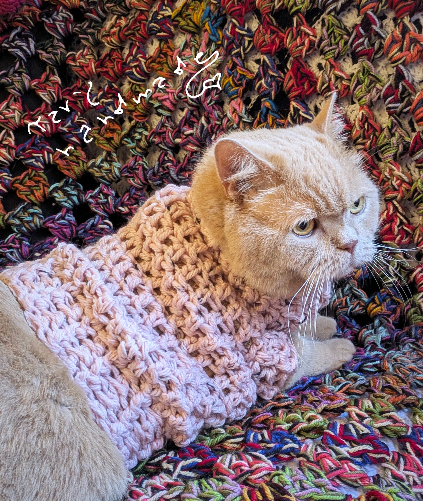 Woolly Woof – Pullover Tweed a Mezza Zampa