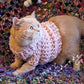 Woolly Woof – Pullover Tweed a Mezza Zampa