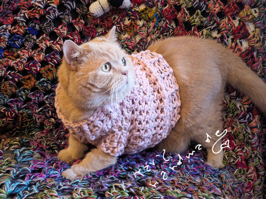 Woolly Woof – Pullover Tweed a Mezza Zampa