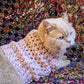 Woolly Woof – Pullover Tweed a Mezza Zampa